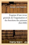 vignette