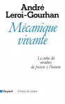 vignette