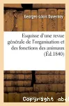 vignette