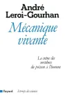 vignette
